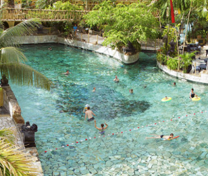 vakantieparken met subtropisch zwembad, de Eemhof